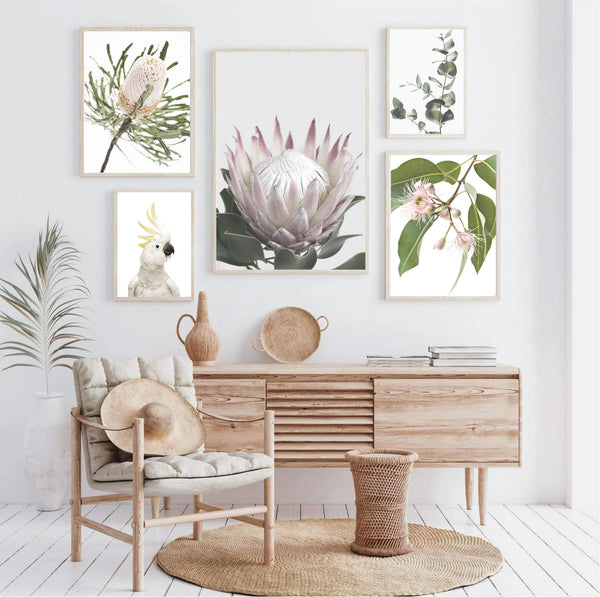 Banksia II Photography Print