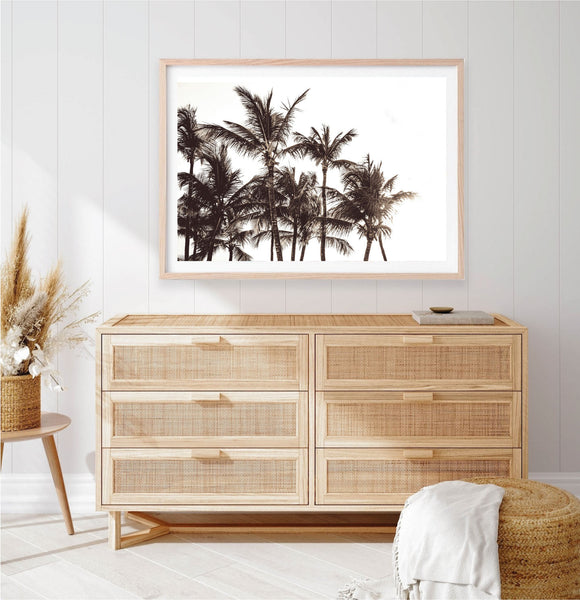Black and White Palms Print
