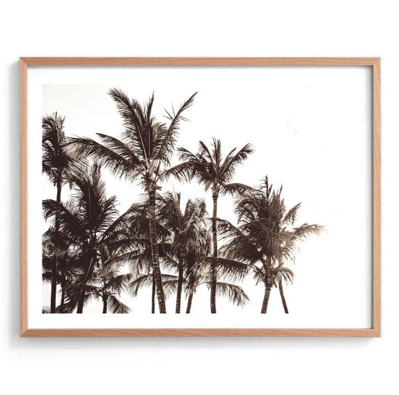 Black and White Palms Print