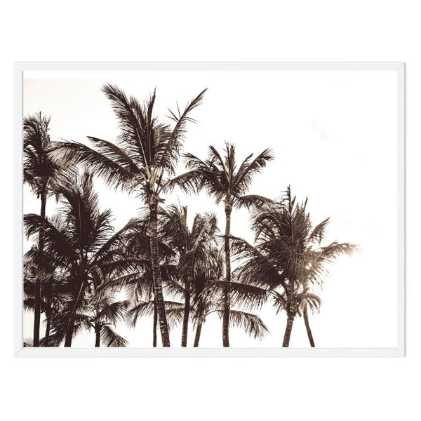 Black and White Palms Print