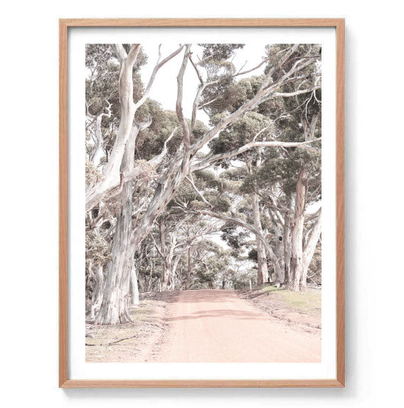 Gum Tree Path Photography Print