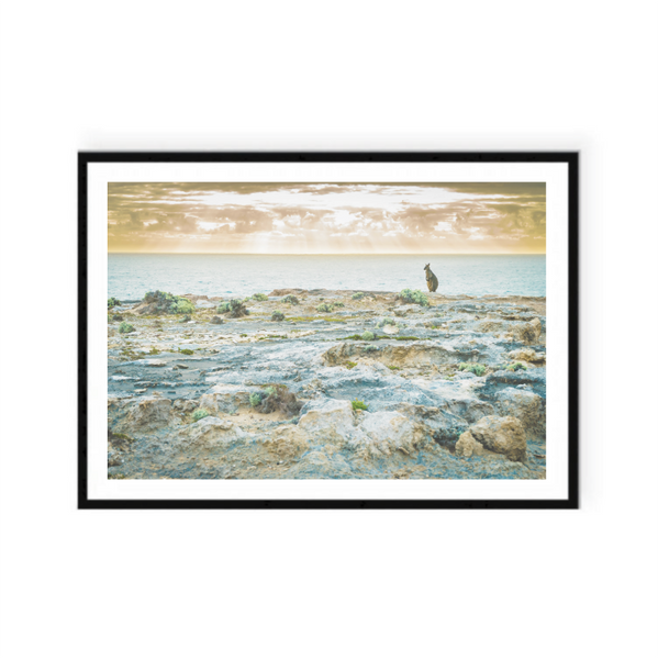 Sunrise Kanagaroo Print