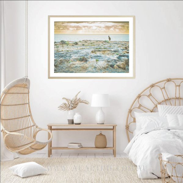 Sunrise Kanagaroo Print