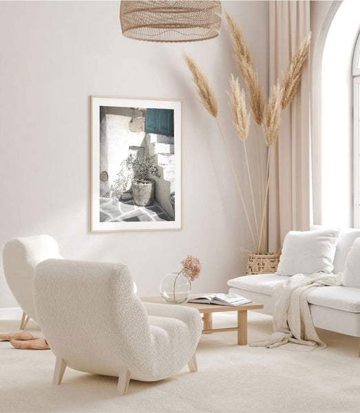 Olive Tree Photography Print