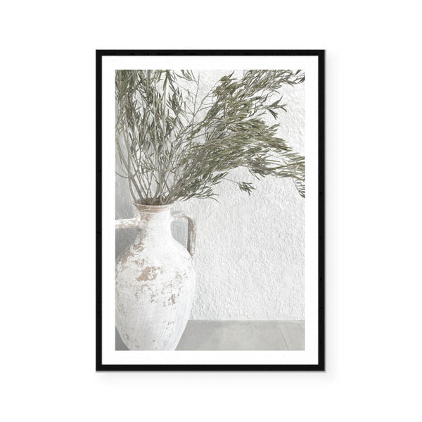 Olive Branches Photography Print
