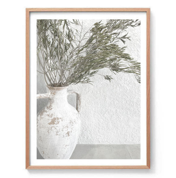 Olive Branches Photography Print
