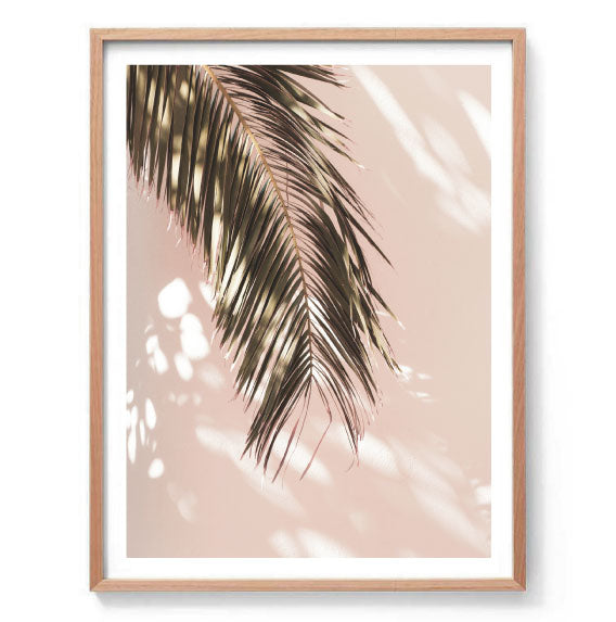 Palm Shadow Wall Art Print