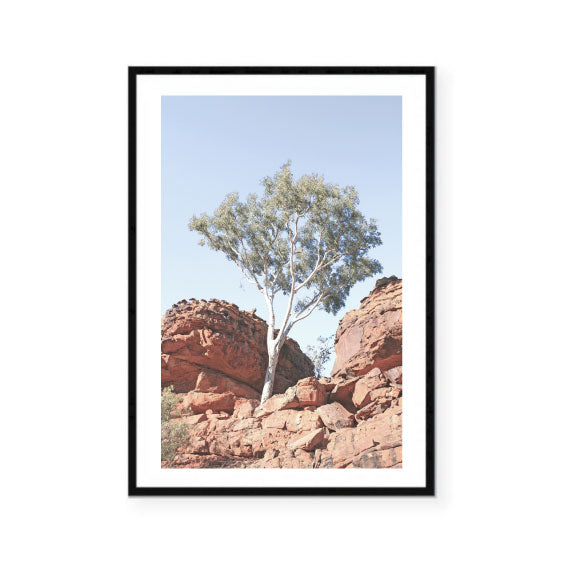 Red Rock Gum Photography Print