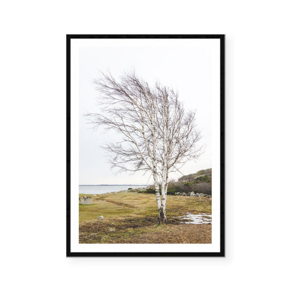 Winter Landscape Print