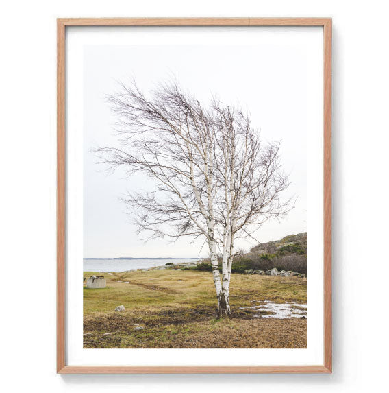 Winter Landscape Print