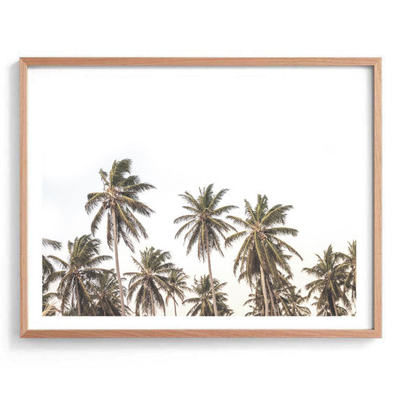 Palms for Days Print