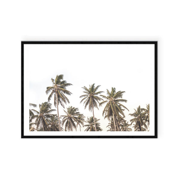 Palms for Days Print