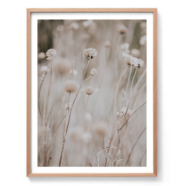 Wild Grasses Print-Art for Interiors-Online Framed-Australian Made Wall Art-Milk n Honey Designs