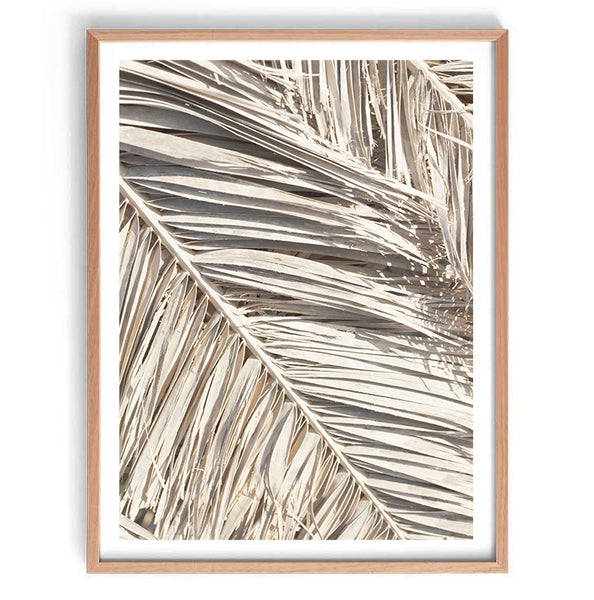 Dried Palm Fronds Print-Art for Interiors-Online Framed-Australian Made Wall Art-Milk n Honey Designs