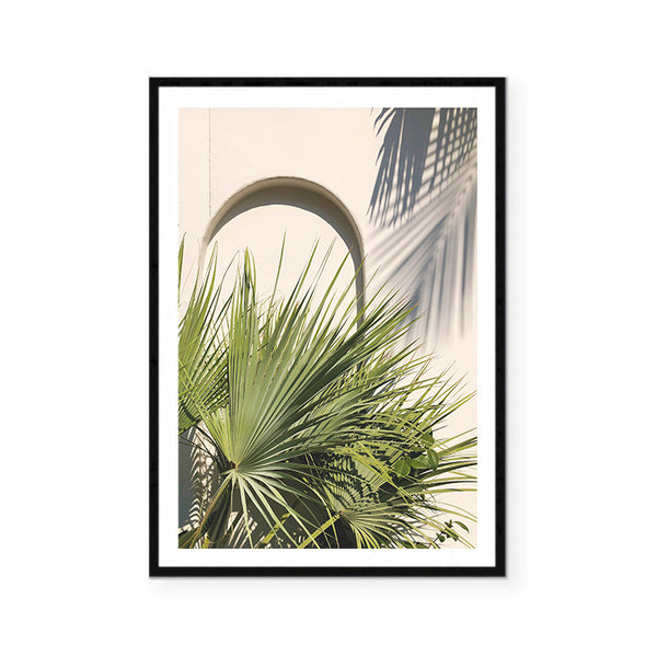 Fan Palm Arch-Art for Interiors-Online Framed-Australian Made Wall Art-Milk n Honey Designs
