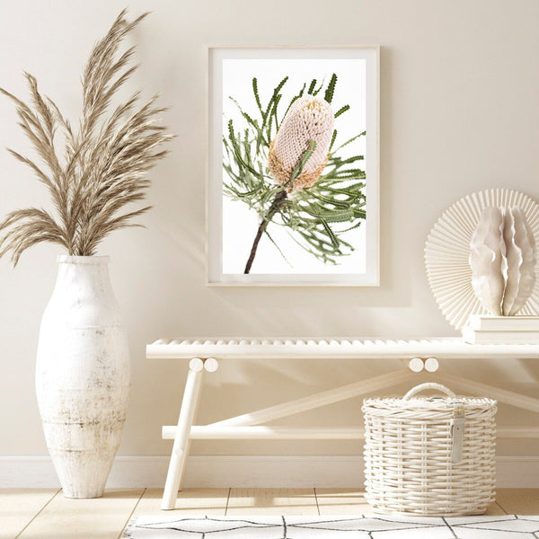 Banksia II Photography Print-Art for Interiors-Online Framed-Australian Made Wall Art-Milk n Honey Designs