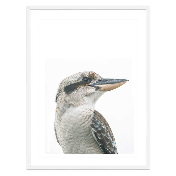 Kookaburra Photographic Print-Art for Interiors-Online Framed-Australian Made Wall Art-Milk n Honey Designs