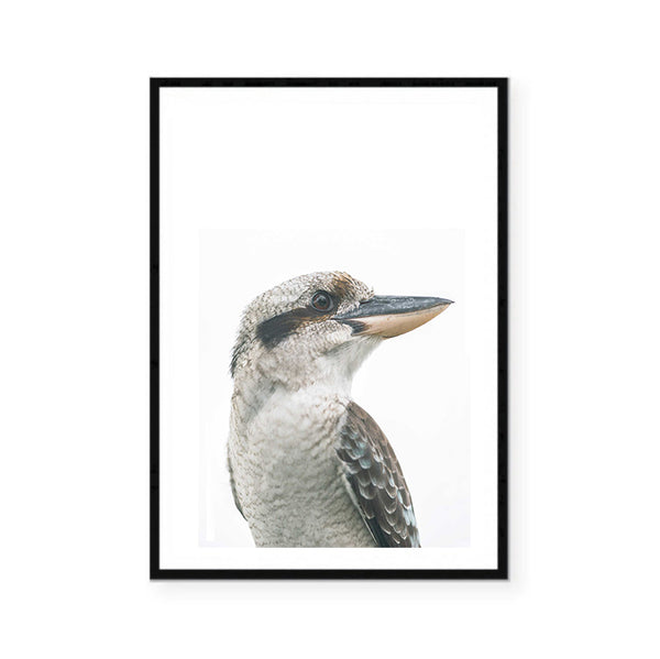 Kookaburra Photographic Print-Art for Interiors-Online Framed-Australian Made Wall Art-Milk n Honey Designs