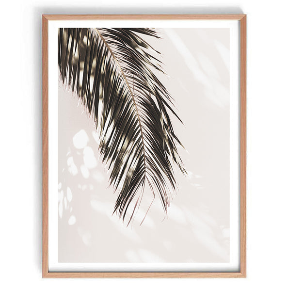 Palm Shadow Wall Art Print - Monochrome-Art for Interiors-Online Framed-Australian Made Wall Art-Milk n Honey Designs