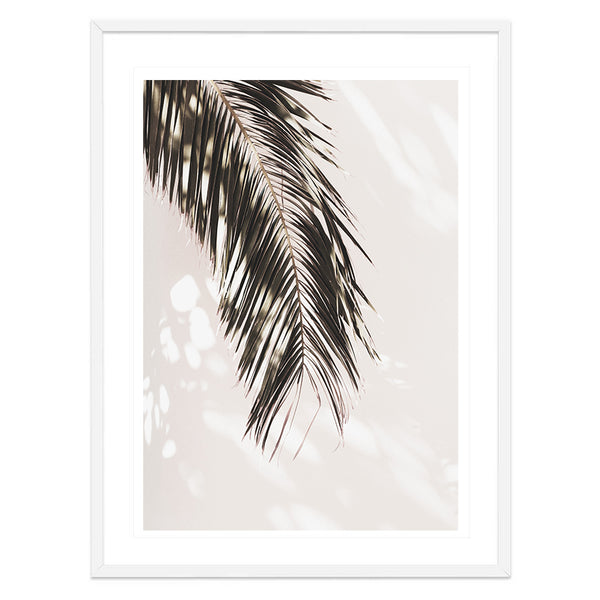 Palm Shadow Wall Art Print - Monochrome-Art for Interiors-Online Framed-Australian Made Wall Art-Milk n Honey Designs