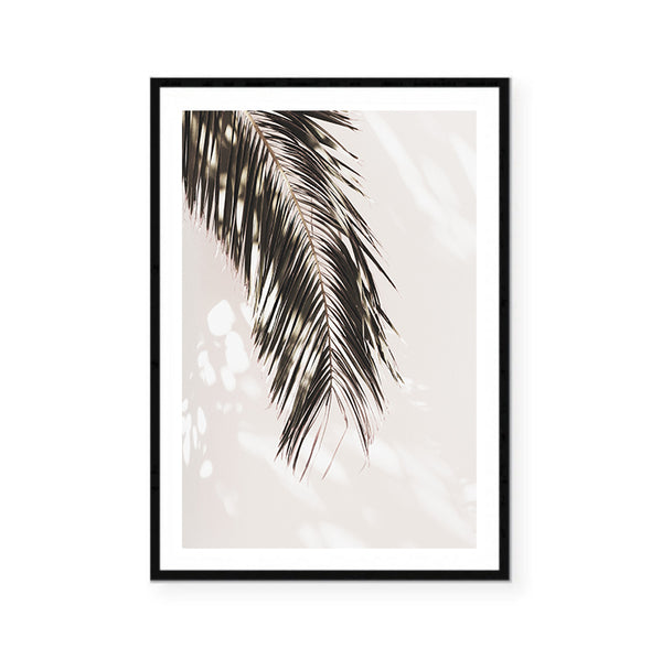 Palm Shadow Wall Art Print - Monochrome-Art for Interiors-Online Framed-Australian Made Wall Art-Milk n Honey Designs