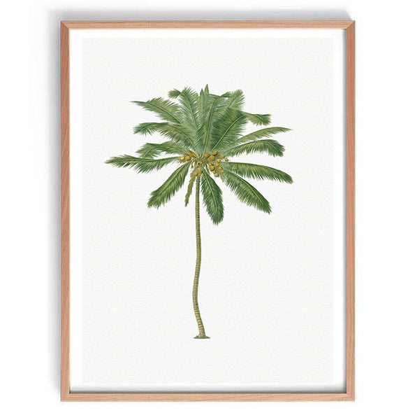 Vintage Palm Tree Illustration Print-Art for Interiors-Online Framed-Australian Made Wall Art-Milk n Honey Designs