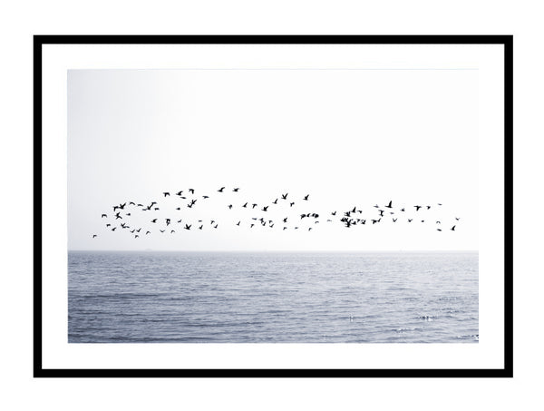 Tranquil Waters Print-Art for Interiors-Online Framed-Australian Made Wall Art-Milk n Honey Designs