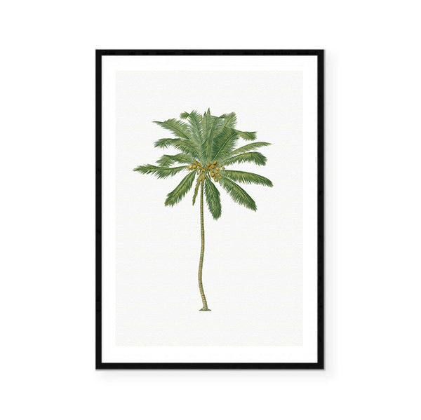 Vintage Palm Tree Illustration Print-Art for Interiors-Online Framed-Australian Made Wall Art-Milk n Honey Designs