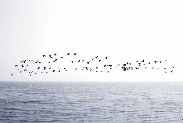 Tranquil Waters Print-Art for Interiors-Online Framed-Australian Made Wall Art-Milk n Honey Designs