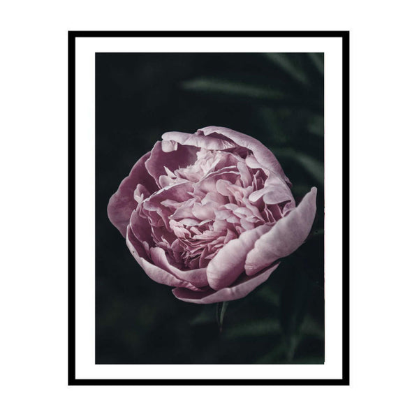 Midnight Garden Print-Art for Interiors-Online Framed-Australian Made Wall Art-Milk n Honey Designs