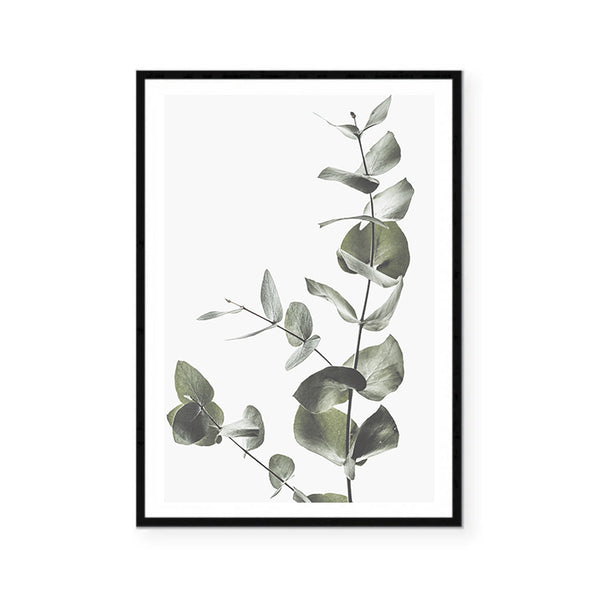 Eucalyptus Leaves II Print-Art for Interiors-Online Framed-Australian Made Wall Art-Milk n Honey Designs
