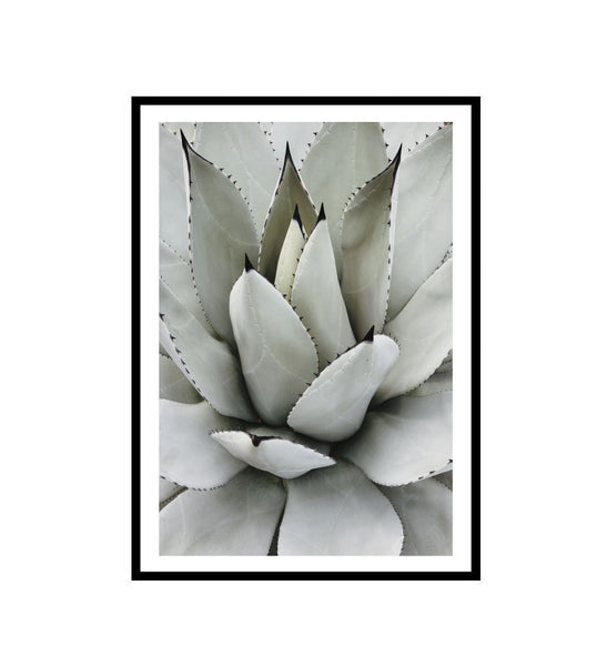 Agave Core Print-Art for Interiors-Online Framed-Australian Made Wall Art-Milk n Honey Designs
