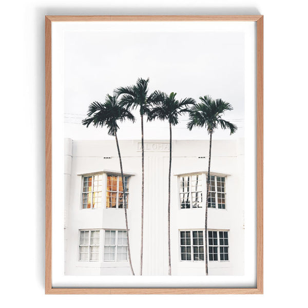 Aloha Palms Print-Art for Interiors-Online Framed-Australian Made Wall Art-Milk n Honey Designs
