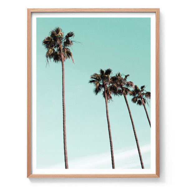Aqua Palms Photography Print-Art for Interiors-Online Framed-Australian Made Wall Art-Milk n Honey Designs