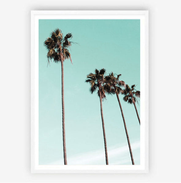 Aqua Palms Photography Print-Art for Interiors-Online Framed-Australian Made Wall Art-Milk n Honey Designs