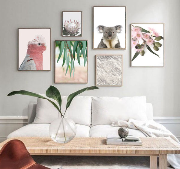 Rosie the Pink Cockatoo-Art for Interiors-Online Framed-Australian Made Wall Art-Milk n Honey Designs