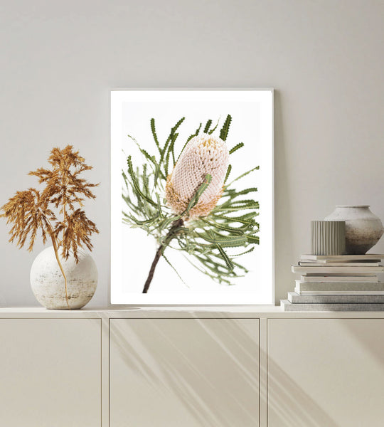Banksia II Photography Print-Art for Interiors-Online Framed-Australian Made Wall Art-Milk n Honey Designs