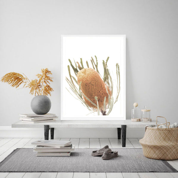 Banksia Photography Print-Art for Interiors-Online Framed-Australian Made Wall Art-Milk n Honey Designs