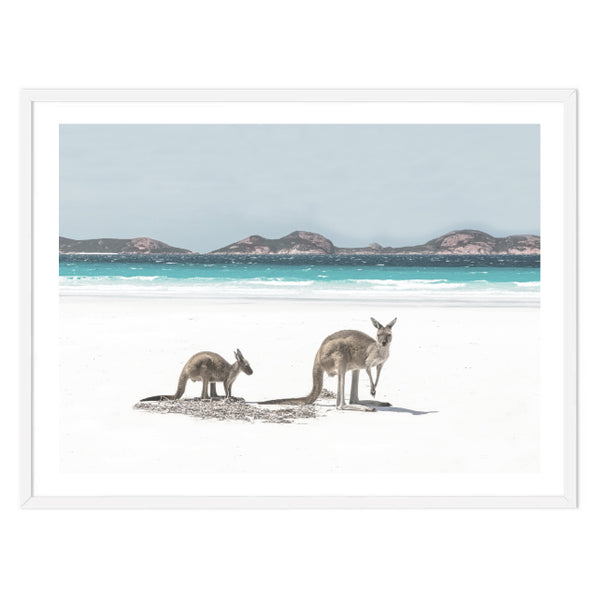 Beach Kangaroos Print