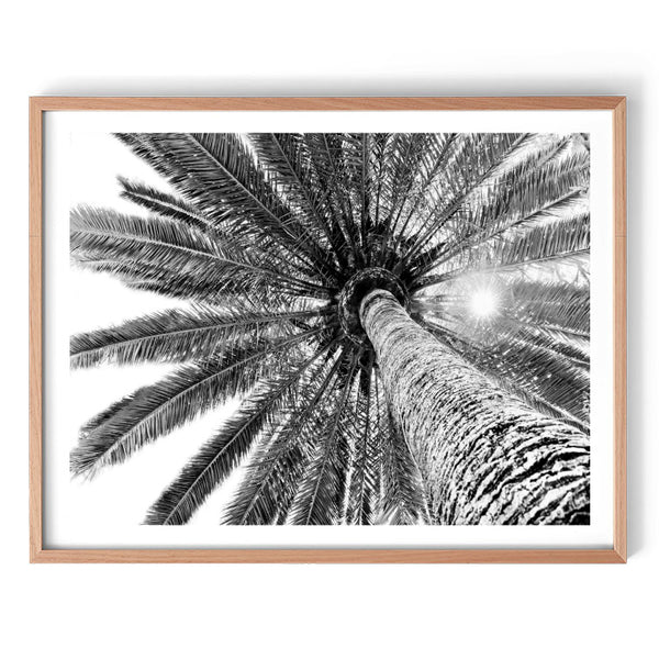 Beneath the Palms - Monochrome Print-Art for Interiors-Online Framed-Australian Made Wall Art-Milk n Honey Designs