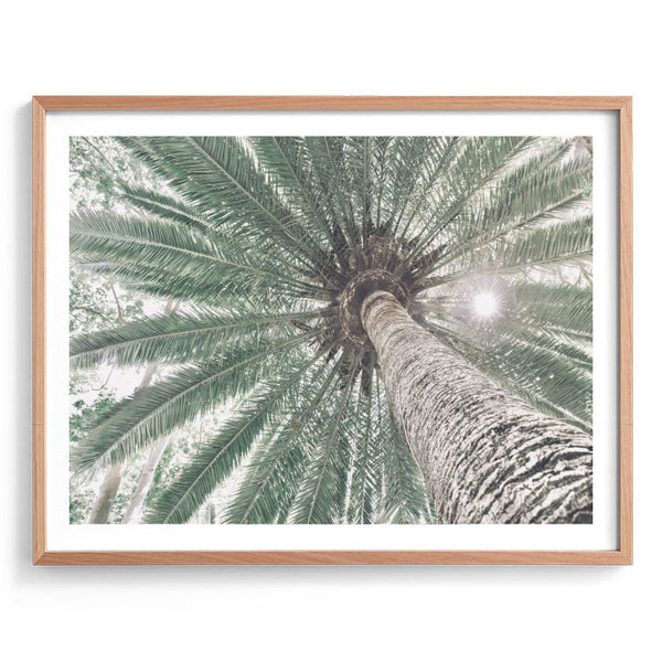 Beneath the Palms 100x70cm Print