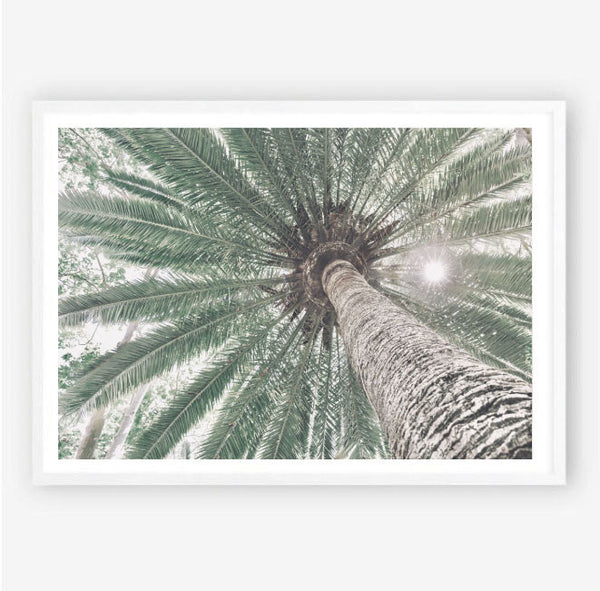 Beneath the Palms Print-Art for Interiors-Online Framed-Australian Made Wall Art-Milk n Honey Designs