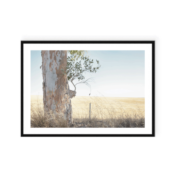 Gum Tree View Print