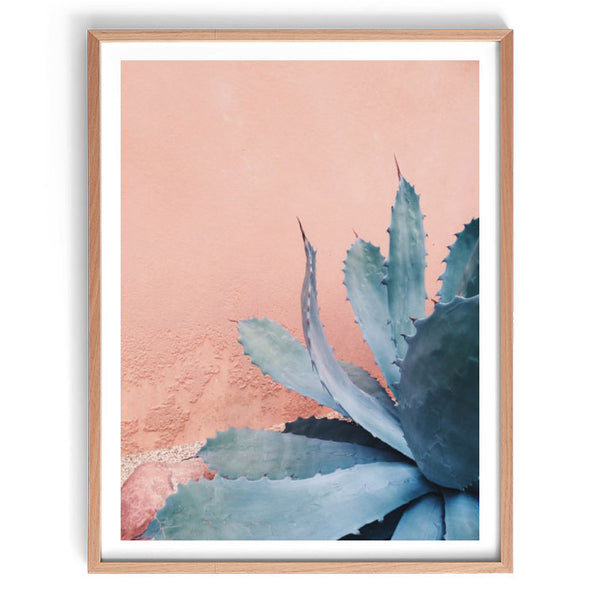 Blushing Agave Print-Art for Interiors-Online Framed-Australian Made Wall Art-Milk n Honey Designs