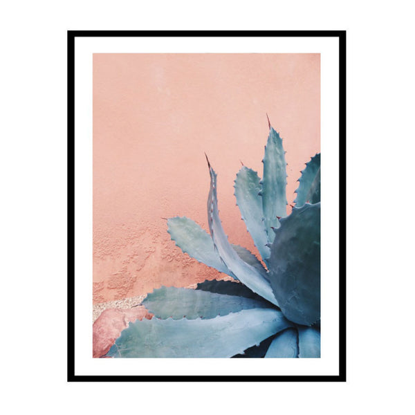 Blushing Agave Print-Art for Interiors-Online Framed-Australian Made Wall Art-Milk n Honey Designs