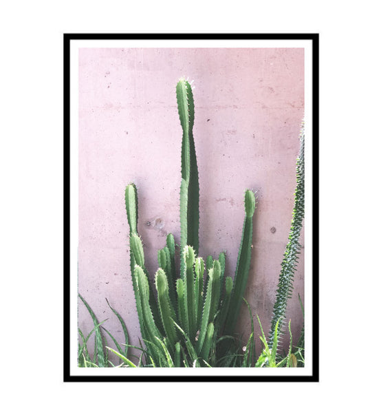 Cactus on Pink Print-Art for Interiors-Online Framed-Australian Made Wall Art-Milk n Honey Designs