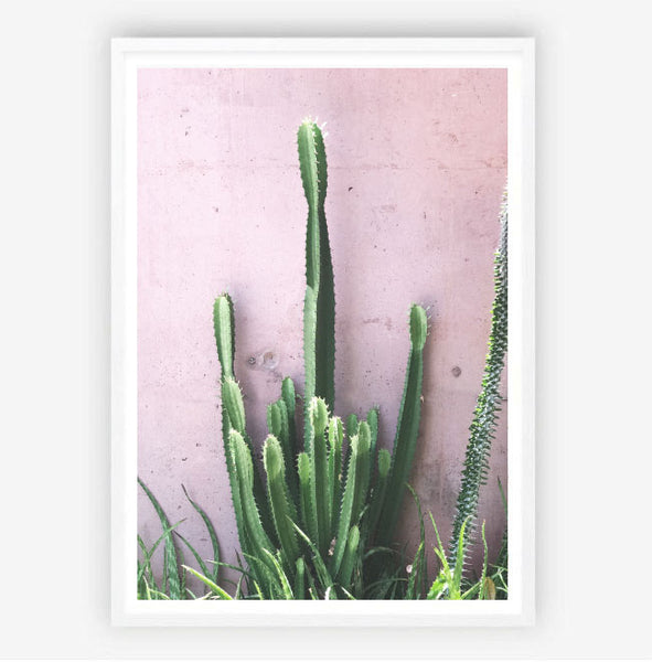 Cactus on Pink Print-Art for Interiors-Online Framed-Australian Made Wall Art-Milk n Honey Designs