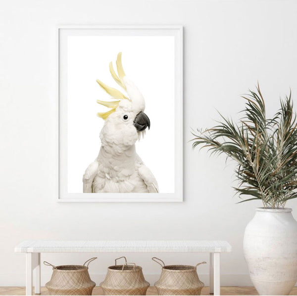 Cockatoo Photographic Print-Art for Interiors-Online Framed-Australian Made Wall Art-Milk n Honey Designs