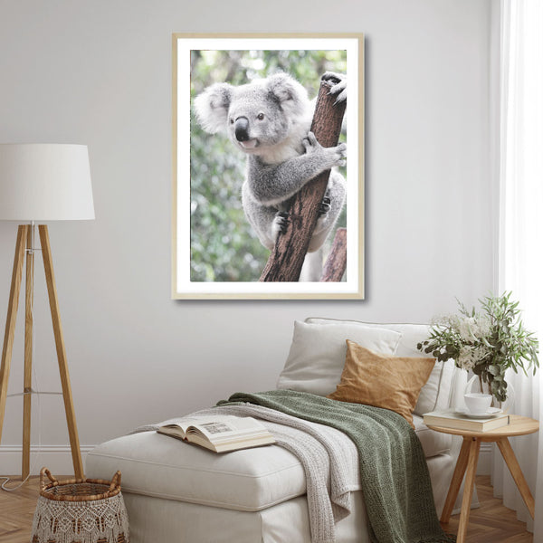 Curious Koala Print