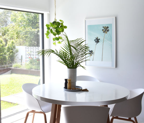 Aqua Palms Photography Print-Art for Interiors-Online Framed-Australian Made Wall Art-Milk n Honey Designs